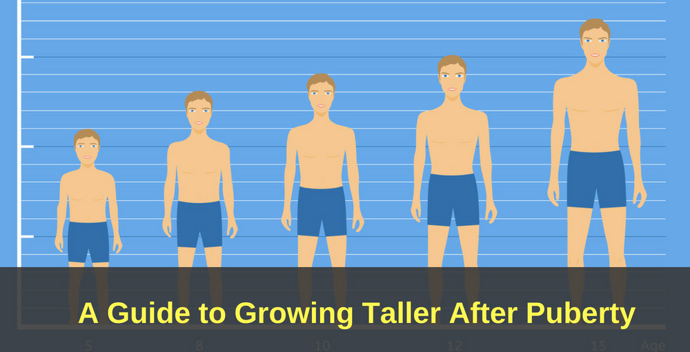 How To Grow Taller After Puberty Grow Tall After Ages 17 18 And 20